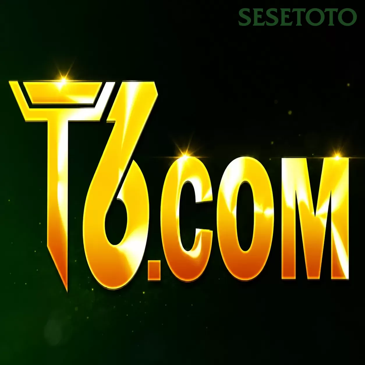 T6 sesetoto